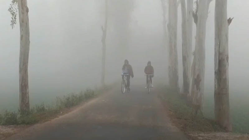 শৈতপ্রবাহ বইছে ৪৪ জেলায়