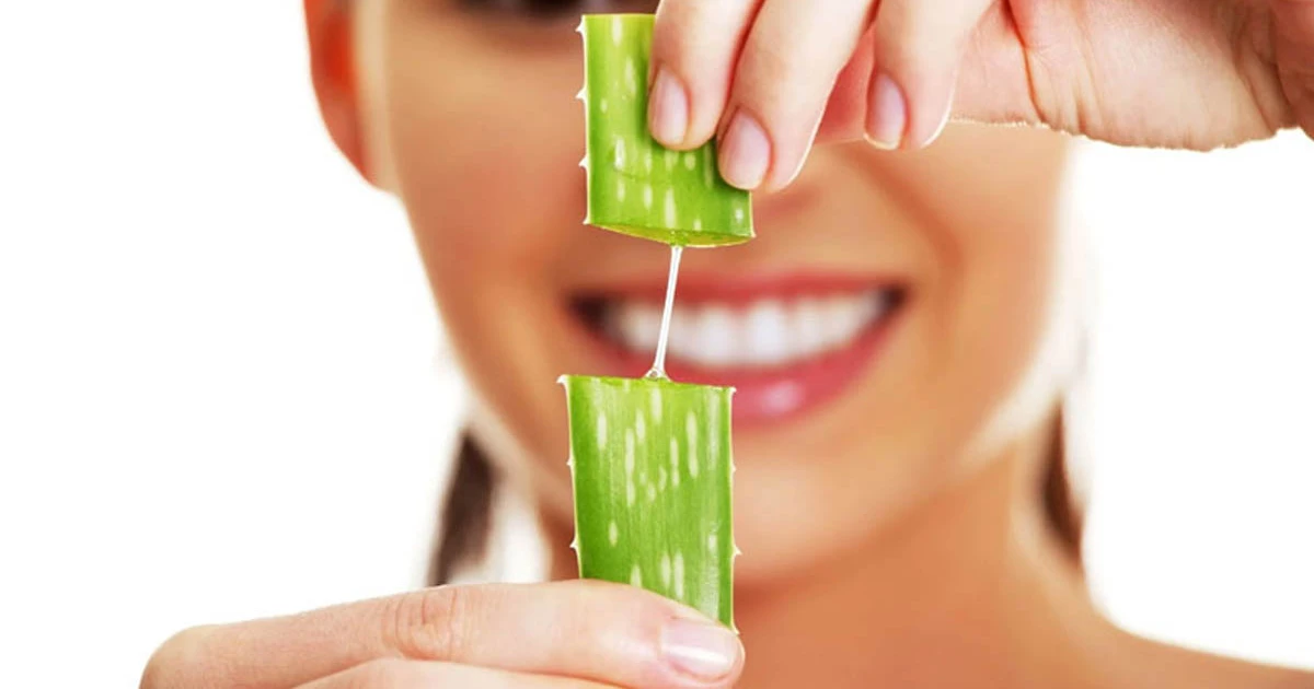 ত্বকের উজ্জ্বলতা ফেরাতে যেভাবে ব্যবহার করবেন অ্যালোভেরা