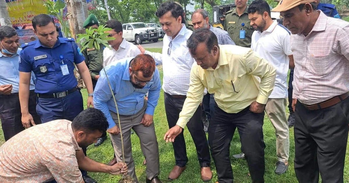 গাইবান্ধায় সড়ক ও জনপথ বিভাগের বৃক্ষরোপন কর্মসূচী