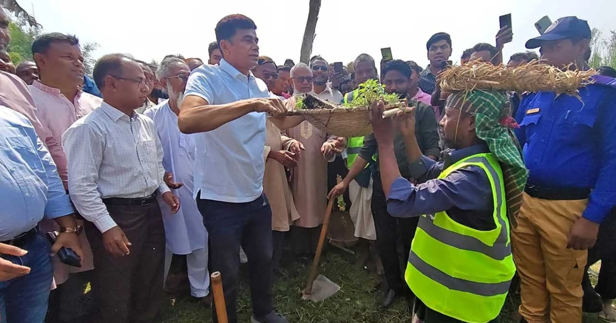 ক্ষতিকর ইউক্যালিপ্টাস গাছ কেটে ফেলার আহ্বান পানি সম্পদ প্রতিমন্ত্রীর