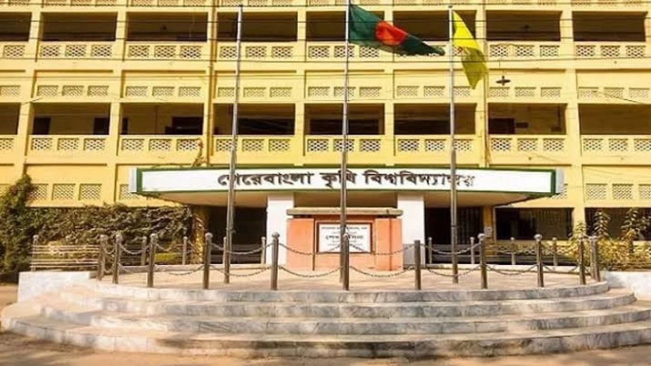 ভঙ্গুর একাডেমিক শৃঙ্খলা, উপেক্ষিত পরীক্ষার রুটিন