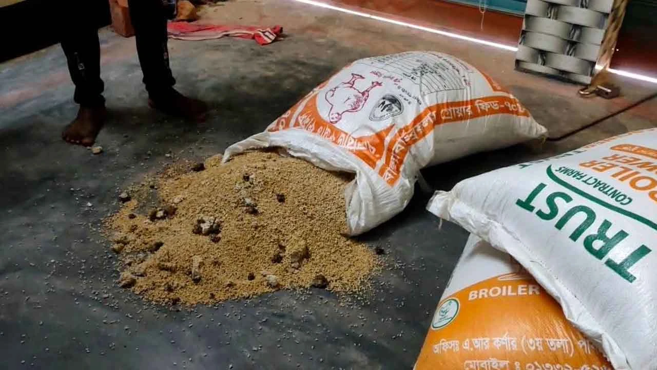 ঠাকুরগাঁওয়ে নিম্নমানের বা মেয়াদোত্তীর্ণ ফিডল বাজারজাতের কারণে আর্থিক ক্ষতির মুখে পড়েছেন খামারীরা