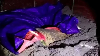 ‘জিনের নির্দেশে’ কবর থেকে মায়ের লাশ তুলে তুলকালাম কাণ্ড সন্তানদের