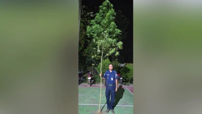 ১২ ফুট উচ্চতার গাঁজার গাছ উদ্ধার, আটক ১