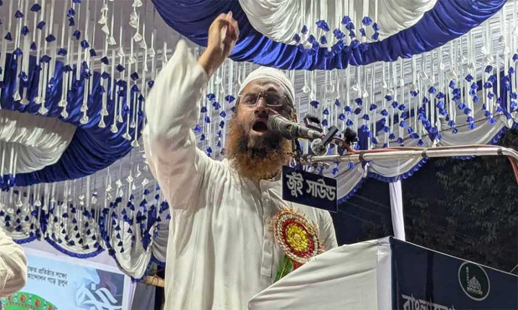 শেখ হাসিনার ফেরার দুঃস্বপ্ন দেখবেন না : মামুনুল হক