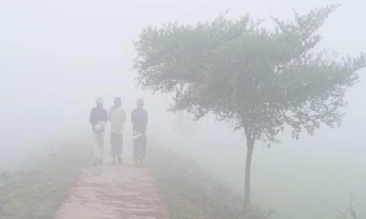ডিসেম্বরের মাঝামাঝিতে জেঁকে বসতে পারে শীত
