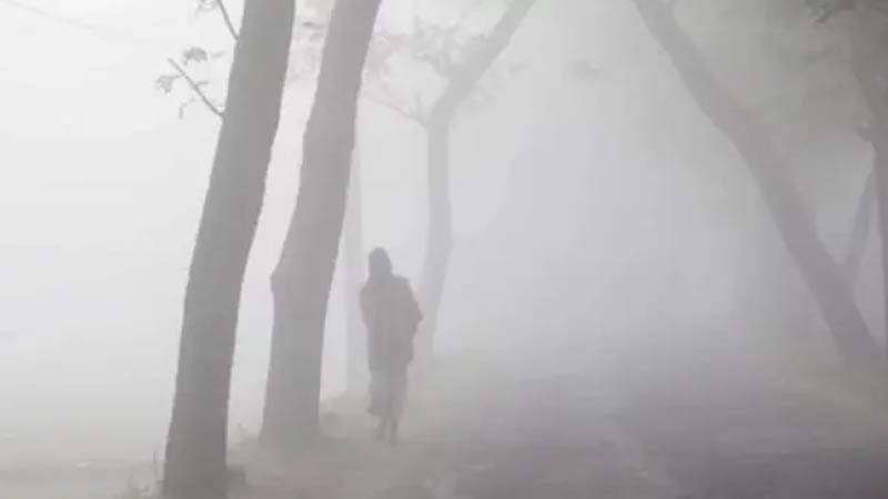 কুয়াশা কত দিন থাকবে, জানালো আবহাওয়া অধিদপ্তর