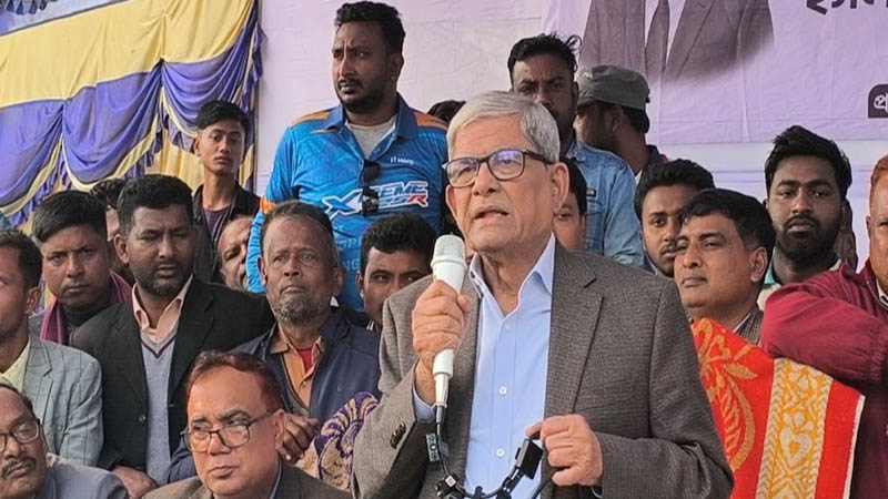 নৌকা থাকলে গণতান্ত্রিক অবস্থা বিরাজ করত : মির্জা ফখরুল