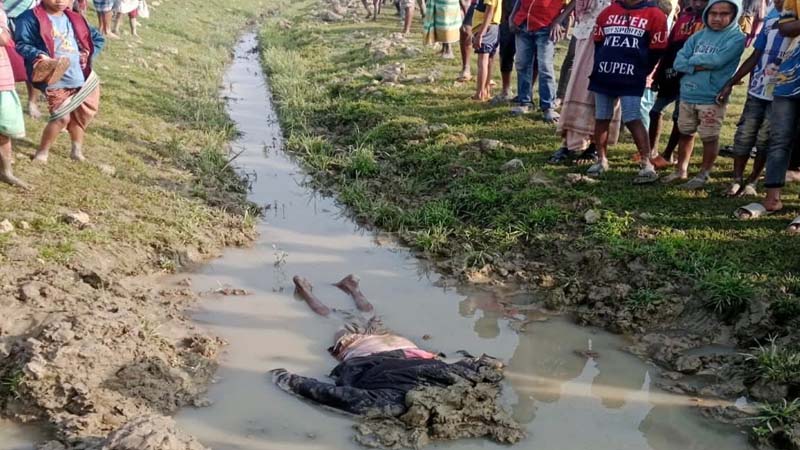 মিঠামইনে বৃদ্ধ কৃষককে গলা কেটে হত্যা