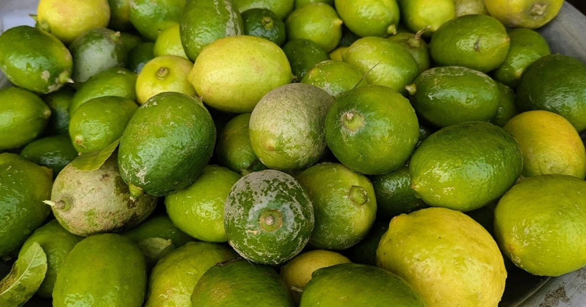 রোজা শুরুর আগেই লেবুর দাম চড়া
