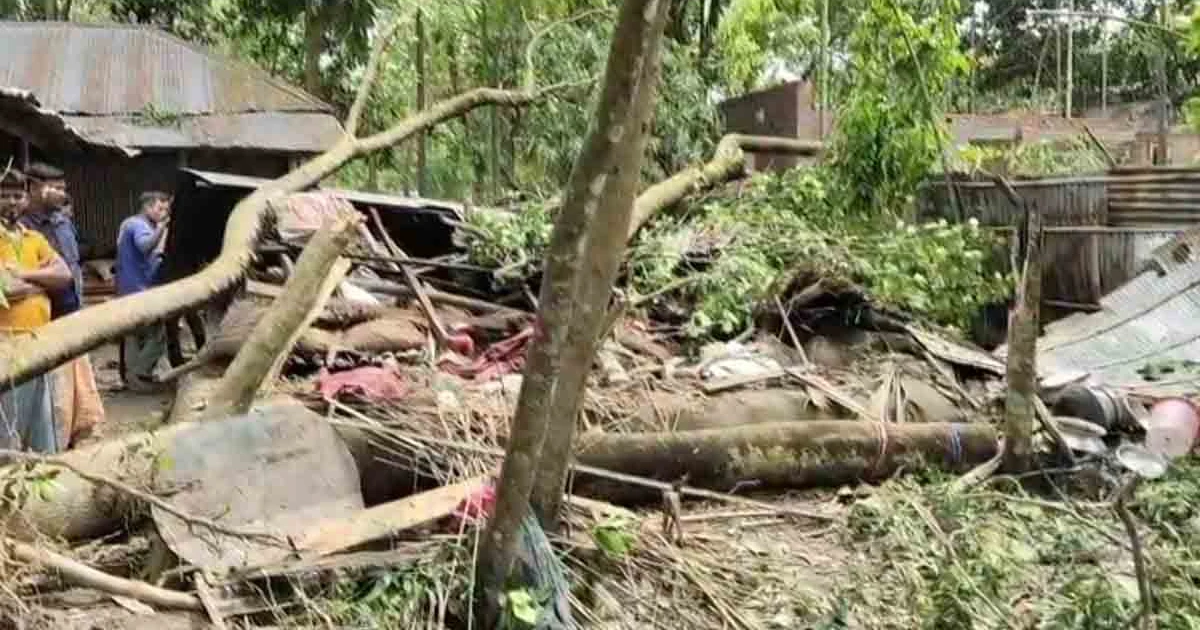 পঞ্চগড়ে ঝড়ে গাছ ভেঙে চাপা পড়ে বৃদ্ধার মৃত্যু, আহত ২