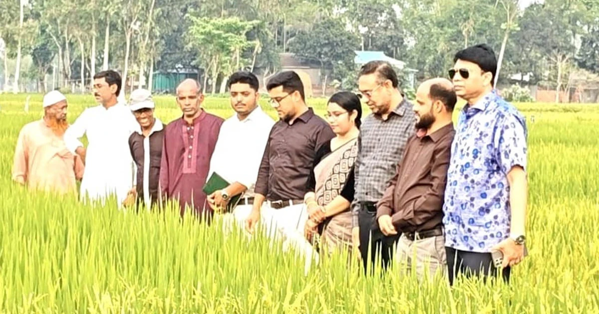 আইকৃষিকে আধুনিকায়নে কাজ করছে বাংলাদেশ ধান গবেষণা ইনস্টিটিউট—মির্জা আশফাকুর রহমান