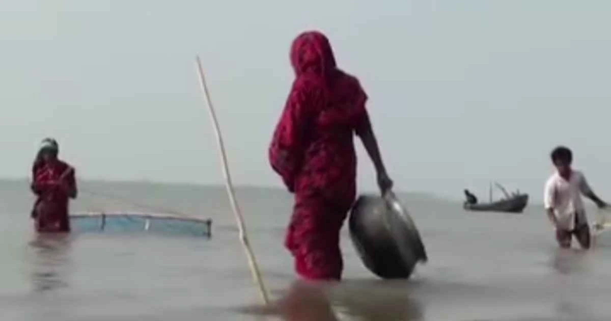 বরগুনার তিন নদীতে চলছে নিষেধাজ্ঞা উপেক্ষা করে অবাধে রেণু পোনা আহরণ