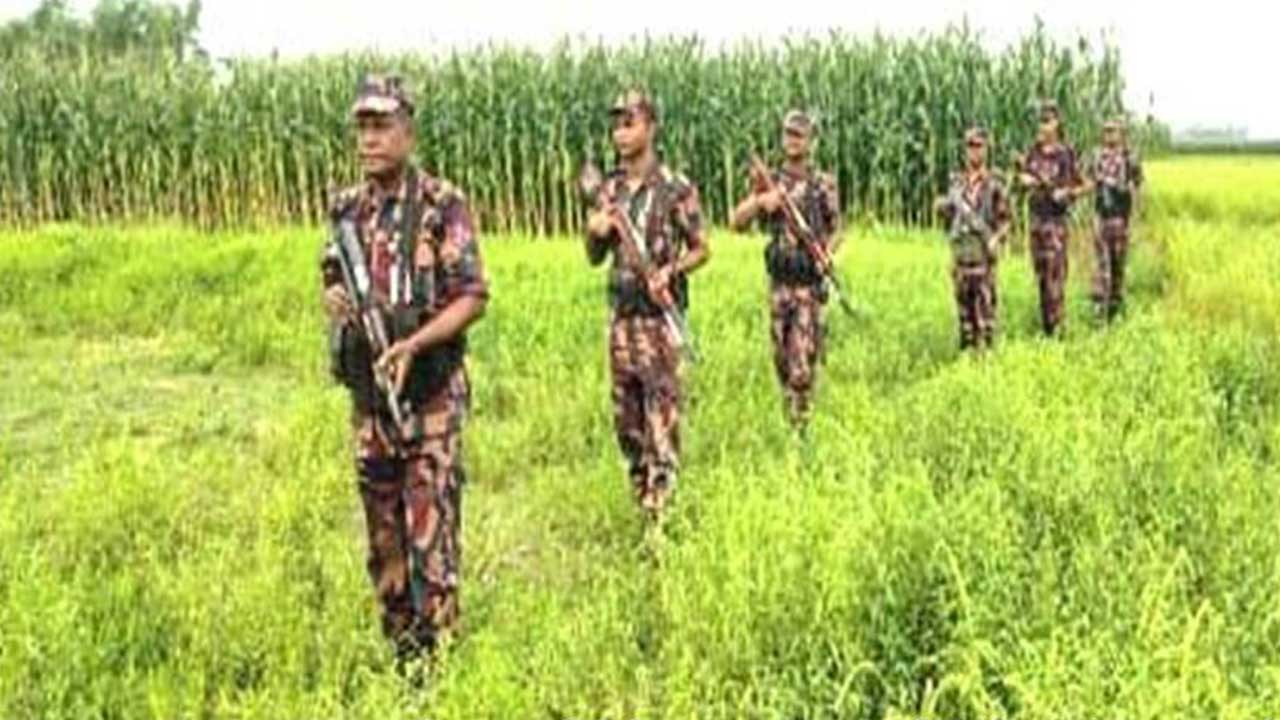 সীমান্তে ঘাস কাটা নিয়ে বাংলাদেশী ও ভারতীয়দের মধ্যে উত্তেজনা