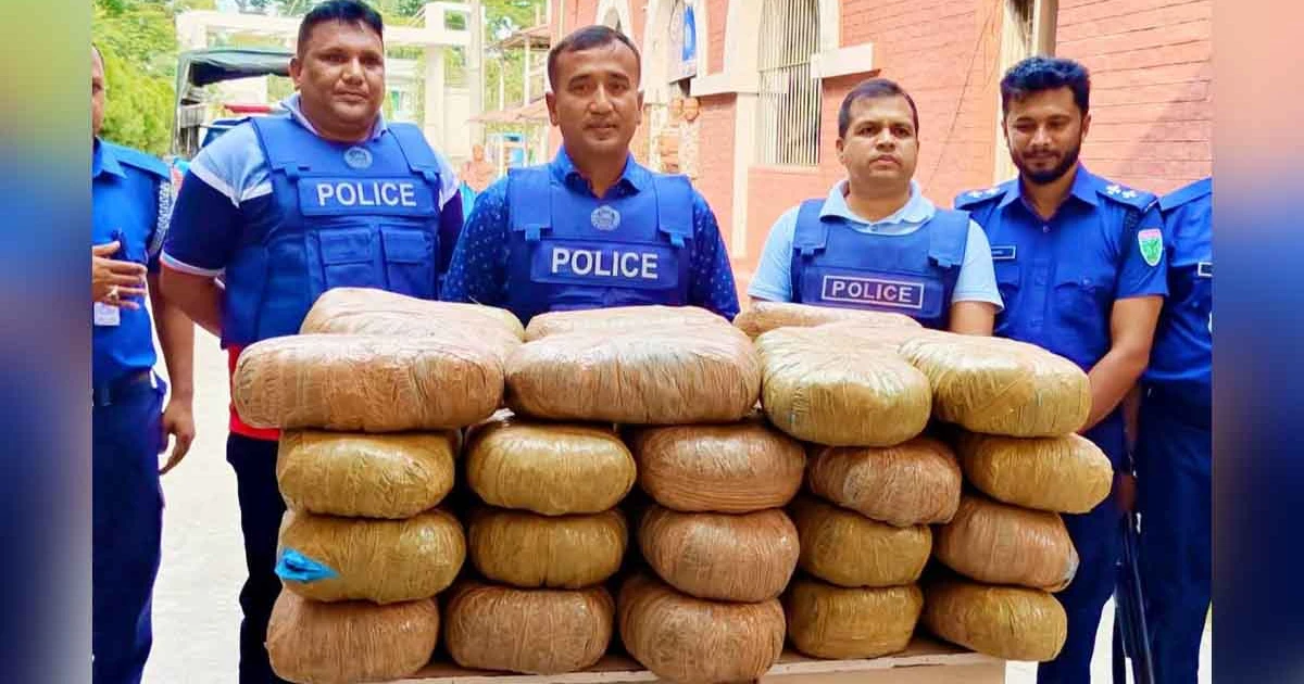 ময়মনসিংহে কোতোয়ালি পুলিশের অভিযানে ২ মণ গাঁজা উদ্ধার