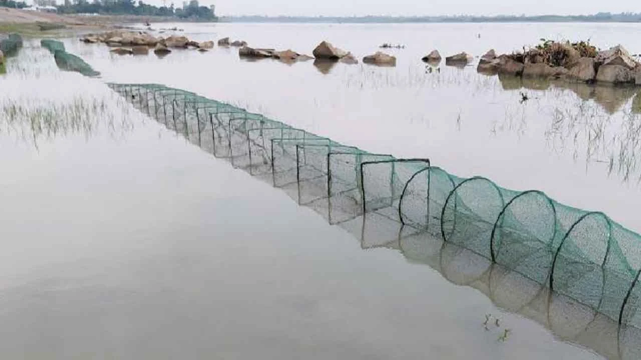 নিষিদ্ধ জালে হুমকিতে দেশীয় মাছ ও জলজ বাস্তুতন্ত্র