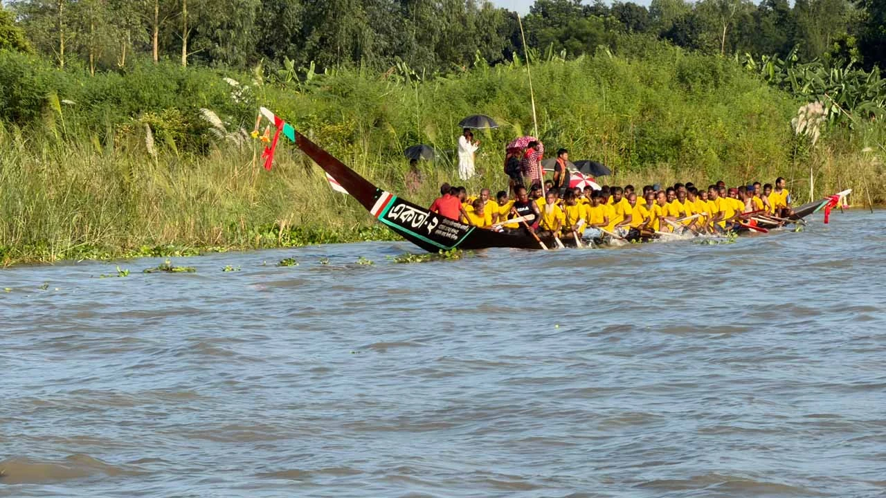 সিংগাইরে কালীগঙ্গায় ঐতিহ্যবাহী নৌকা বাইচ
