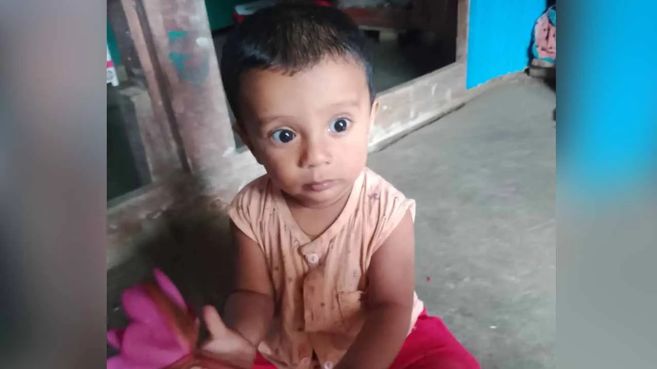 কলাপাড়ায় ঘুমন্ত ১০ মাসের শিশু নিখোঁজ এলাকায় চাঞ্চল্য