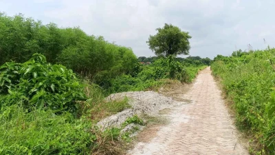 অন্যের কৃষিজমিতে বালু ফেলে দখলের চেষ্টা, সিংগাইর থানায় অভিযোগ