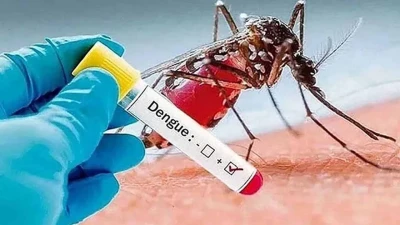 ডেঙ্গুতে একদিনে ৩ মৃত্যু, হাসপাতালে ভর্তি ৯৯৪