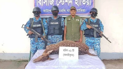 নোয়াখালীতে জবাইকৃত হরিণ উদ্ধার