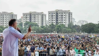 ডেঙ্গু প্রতিরোধে ৩ মাসব্যাপী অভিযান উদ্বোধন প্রধানমন্ত্রীর