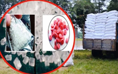 কৃষকের সার যাচ্ছে মিয়ানমারে আসছে ইয়াবা