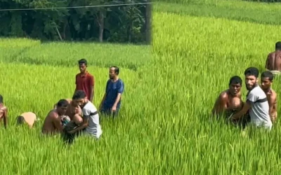 একজনকে বাঁচাতে গিয়ে আরেকজন, ভালুকায় ছেঁড়া বিদ্যুতের তারে প্রাণ গেল দুই চাচাতো ভাইয়ের