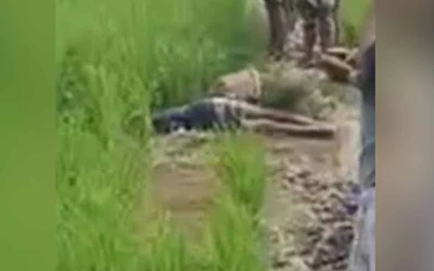 নোয়াখালীতে ইঁদুর মারার বৈদ্যুতিক ফাঁদে প্রাণ গেল কৃষকের