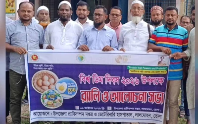 লালমোহনে বিশ্ব ডিম দিবস উপলক্ষে র‍্যালি ও আলোচনা সভা অনুষ্ঠিত
