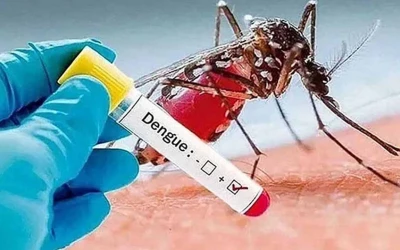 ডেঙ্গুতে আরও ৯ মৃত্যু, হাসপাতালে ভর্তি ১৯৫৪