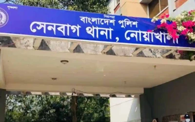 সবজি আনতে গিয়ে বিদ্যুৎপৃষ্টে নারীর মৃত্যু, মেয়ে আহত